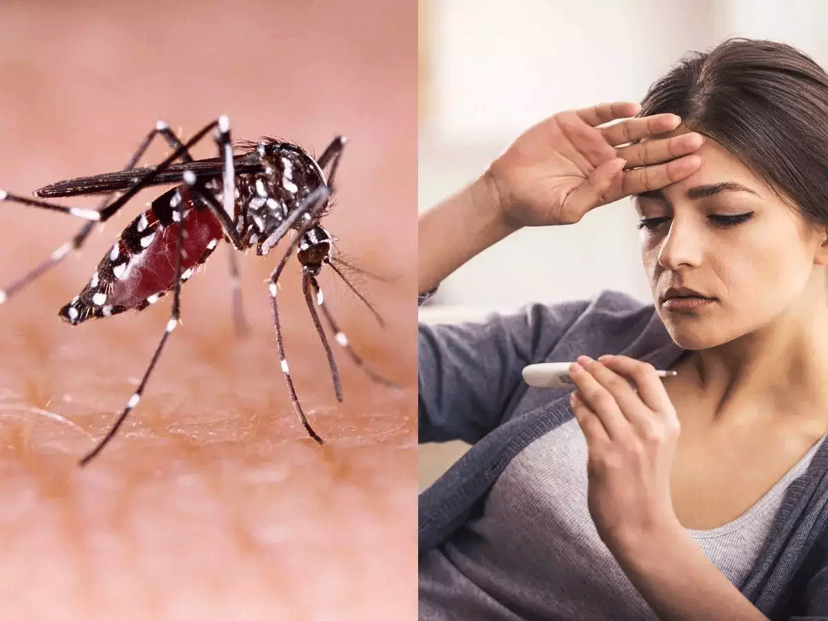 Dengue in Uttarakhand: डेंगू केसों में लगातार इजाफा, अब तक 2402 से ज्यादा लोग शिकार, 15 की मौत, अलर्ट पर प्रशासन